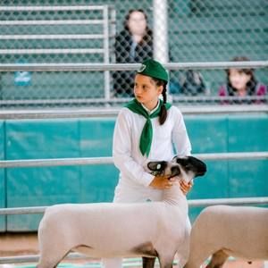 Meet your Posher, Renee